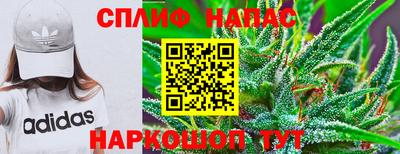 стаф Моздок