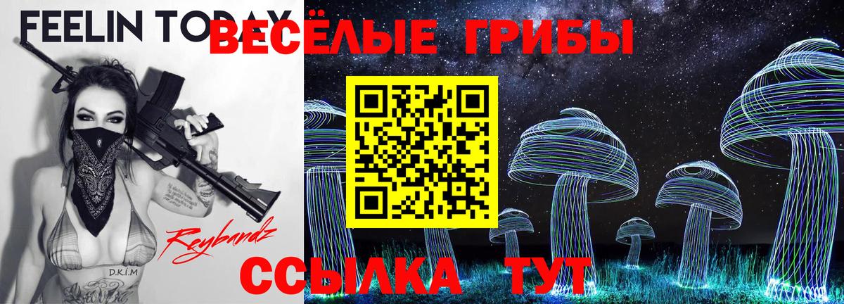 Псилоцибиновые грибы Magic Shrooms Грязи